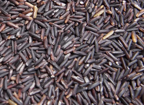 Thai Riceberry Rice