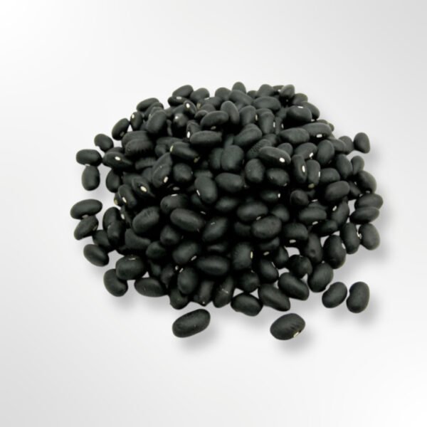 Dried Turtle Black Beans