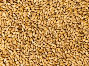 Organic Whole Grain Barley