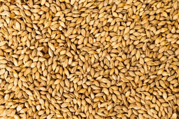 Organic Whole Grain Barley