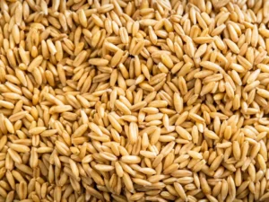 Organic Whole Grain Oats