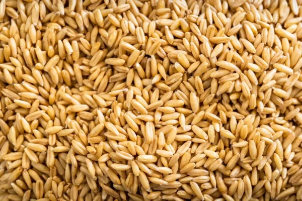 Organic Whole Grain Oats