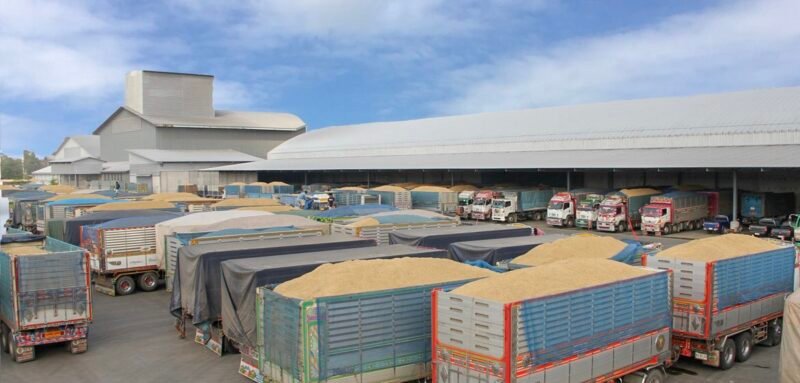 rice production company