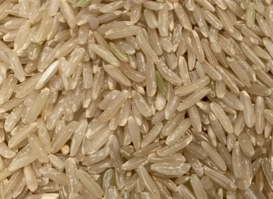 Thai Brown Jasmine Rice supplier