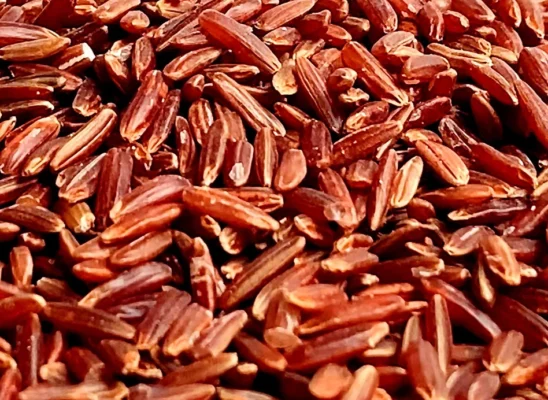 Thai Red Cargo Rice Supplier
