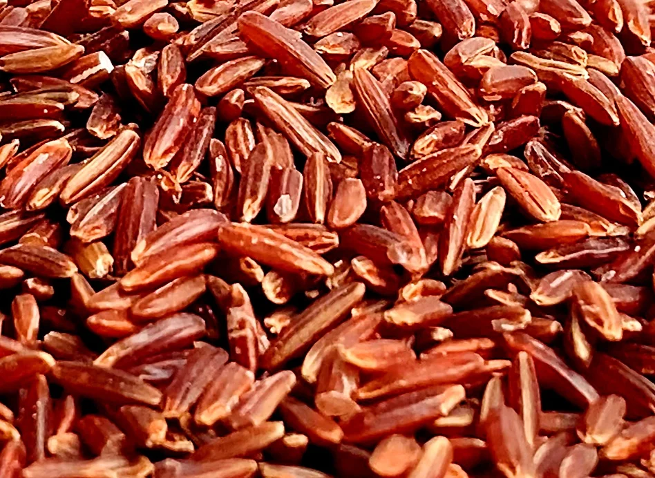 Thai Red Cargo Rice Supplier