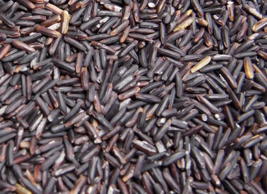 Thai Riceberry Rice supplier